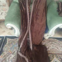 پرده