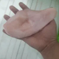 پخش مرغ و قطعات مرغ