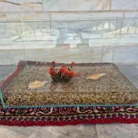 آکواریوم