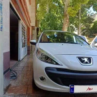 ۲۰۷ پاناروما دنده ارتقا یافته