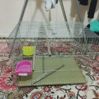 قفس نو بزرگ زیر قیت