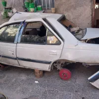 پارس چپی