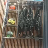 قفسه