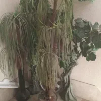 ۴ عدد گل مصنوعی در حد نو