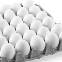 فروش تخم مرغ ،از مزرعه تا سفره