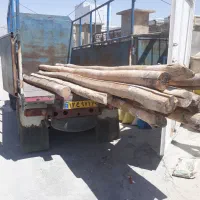 خرید فروش انواع چوپ