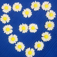 شمع|صنایع دستی و سایر لوازم تزئینی|زاهدان, |دیوار