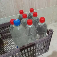 عرق نعنا
