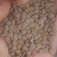 فروش حبوبات
