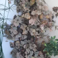 فروش دو عدد گل مصنوعی