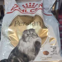 رویال کنین پرشین ادالت ۱۰ گیلویی