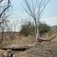 زمین فروشی