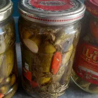 خیارشور خانگی ارگانیک با طعم عالی