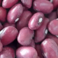 لوبیا قرمز