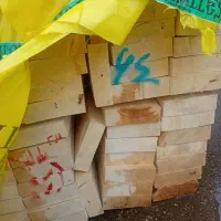 فروش بی واسطه چوب روسی ساسنا، یولکا و بریوزا