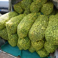 لیمو درجه یک ۱۵۰