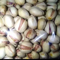 پسته ی ارگانیک امسالی