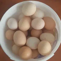 فروش ۳۷عدد تخم مرغ محلی دونه ی ۲۵هزار تومان