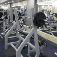 میز پرس بالای سینه خرک شنای سوئدی