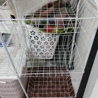 فروش جا ظرفی