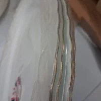 دیس چینی