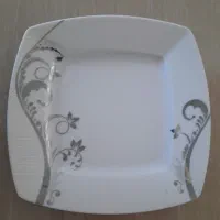 ظروف چینی