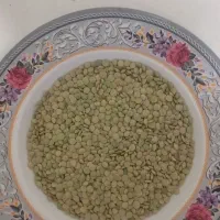 عدس فروشی
