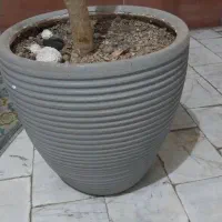 گلدان بزرگ رنگ طوسی