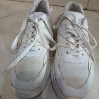 کفش کتونی زنانه