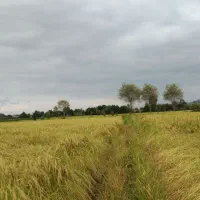 فروش زمین