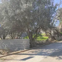 فروش زمین تجاری مسکونی در رستم آباد