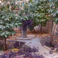 ۹۰ متر حیاط دار/ تکواحدی / نوستالژی