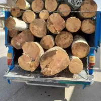 خرید چوب و ضایعات باغ نقد از ساقه دست به بالا