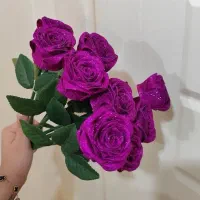 گل ربانی