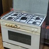اجاق گاز فردار همراه با جوجه گردان عالیستان