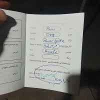 فروشی|سگ|شهر ری, شهرک نظامی|دیوار