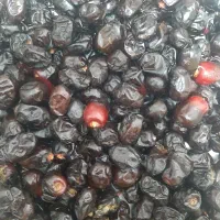 خرما|خوردنی و آشامیدنی|ماسال, |دیوار