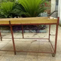 طبق چرخ دار تره بار