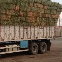 فروش یونجه انباری