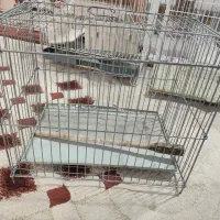 قفس پرنده