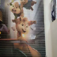 پرده و فرش آلوین