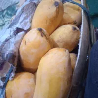 انبه قلم از ۱۵۰داریم به بالا