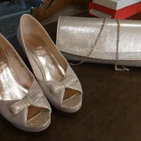 کیف و کفش مجلسی طلائی