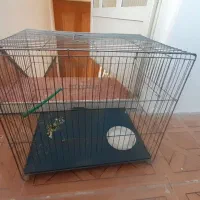 قفس سالم ونو