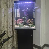 اکواریوم اکوآ