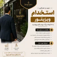 استخدام ویزیتور