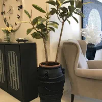 گلدان پتینه و گل فیکوس ابلق