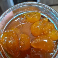 خوردنی|خوردنی و آشامیدنی|رشت, معلم|دیوار