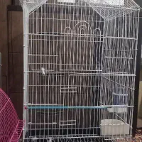 قفس پرنده