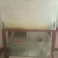 آکواریوم